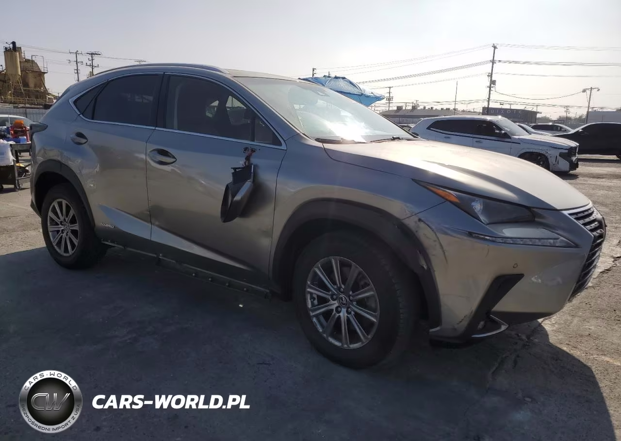 2018 Lexus Nx 300H VIN:JTJBJRBZ9J2095232 - 4