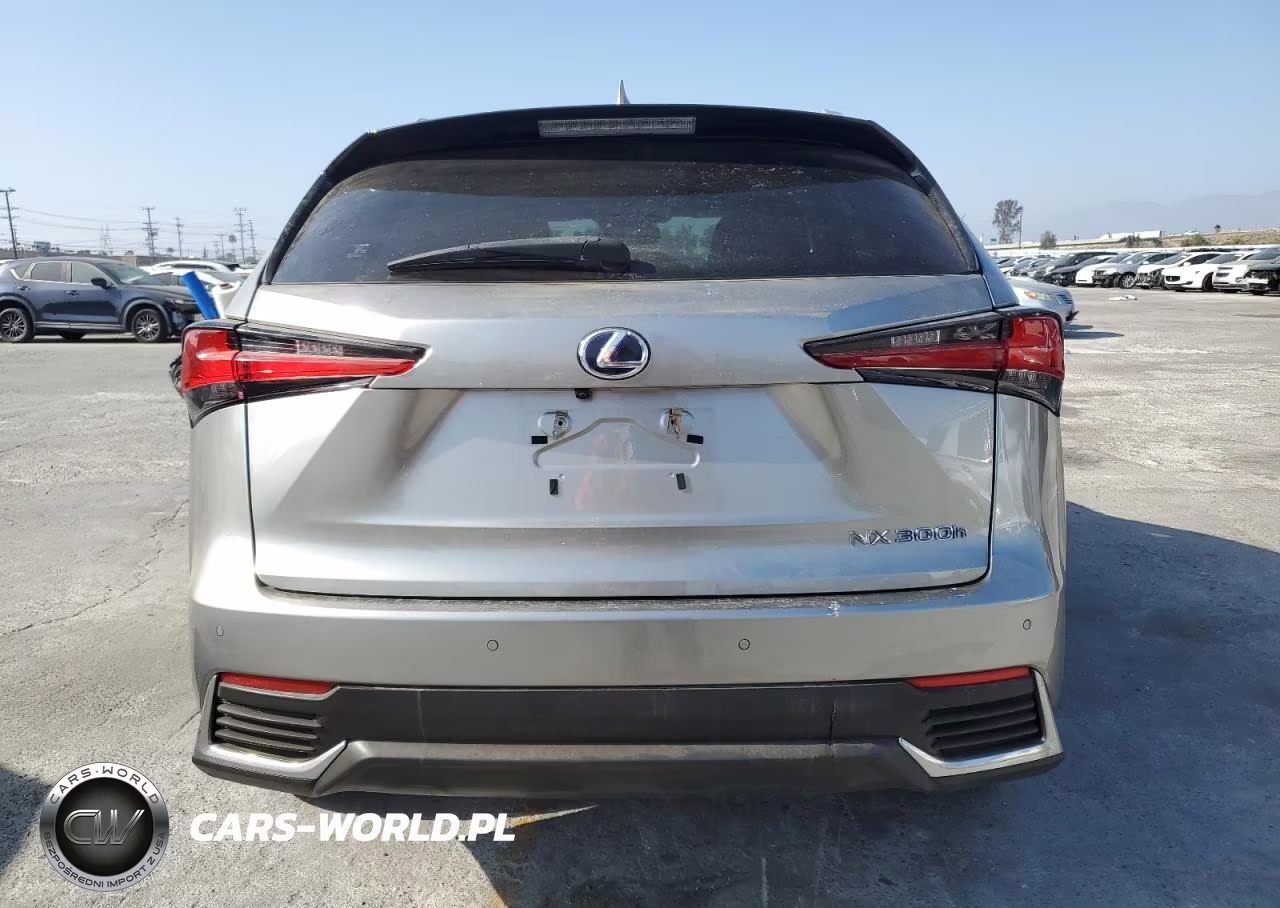 2018 Lexus Nx 300H VIN:JTJBJRBZ9J2095232 - 6
