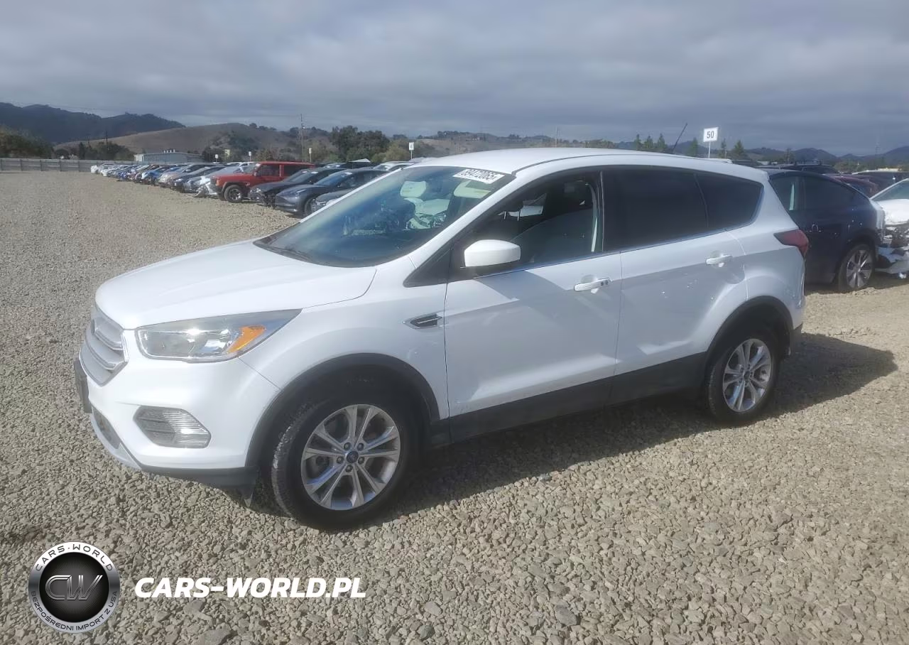 2019 Ford Escape Se