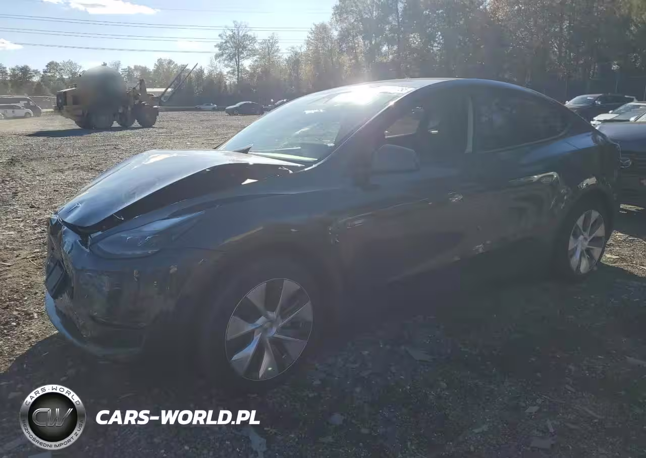 2024 Tesla Model Y