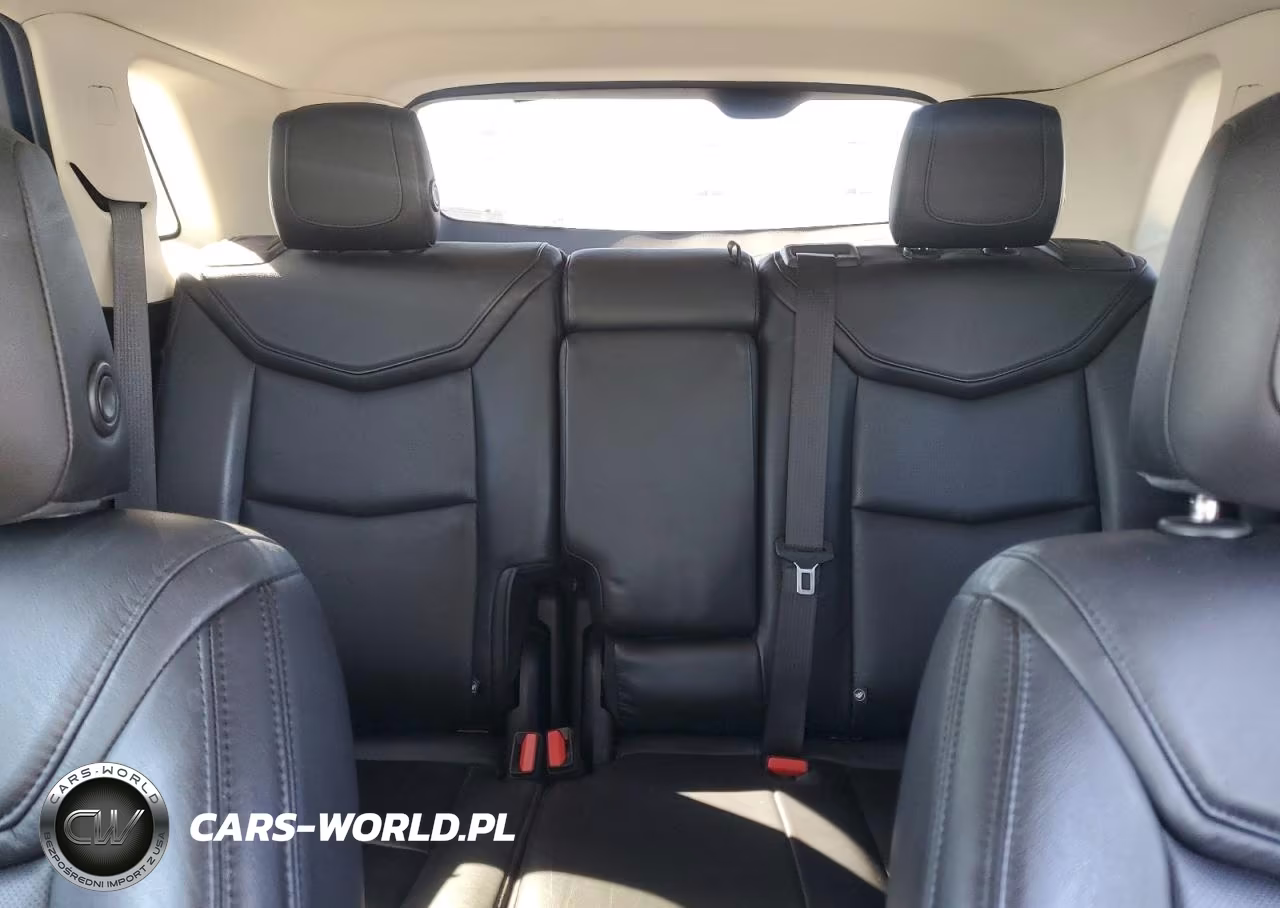 2019 Cadillac Xt5 Luxury VIN:1GYKNDRS1KZ119030 - 10