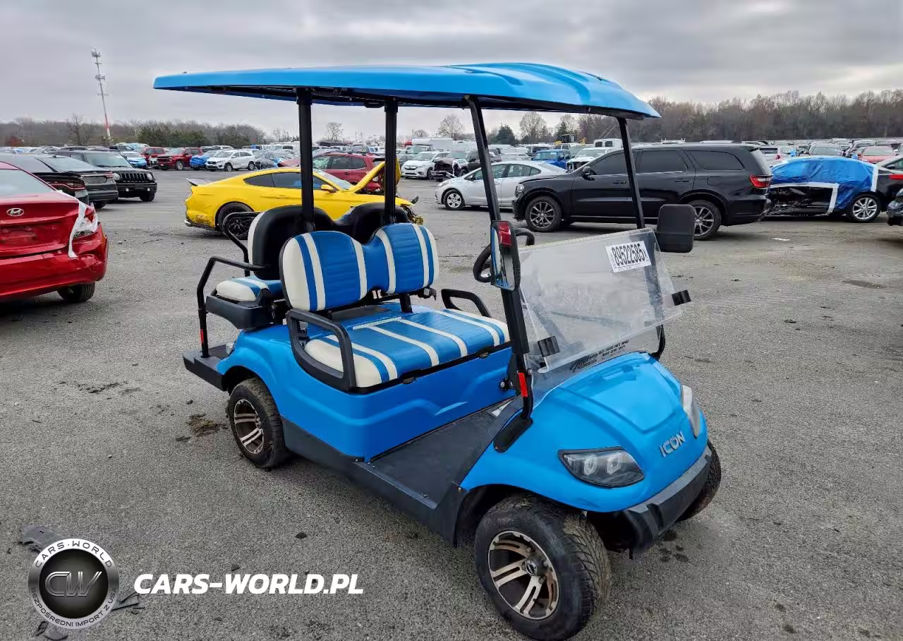 2020 Other Motorcycle Golf Cart