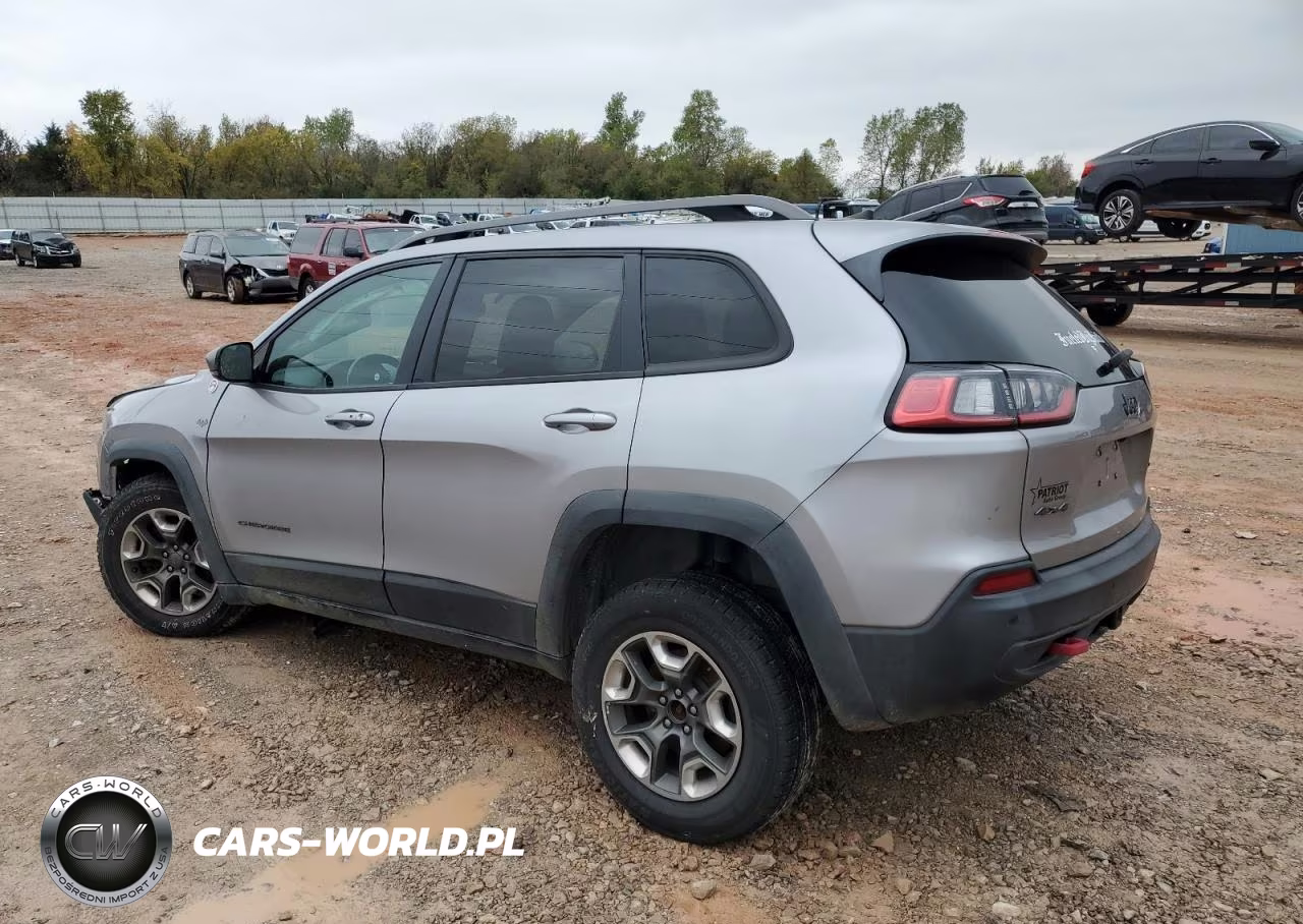 2019 Jeep Cherokee Trailhawk VIN:1C4PJMBXXKD397631 - 2