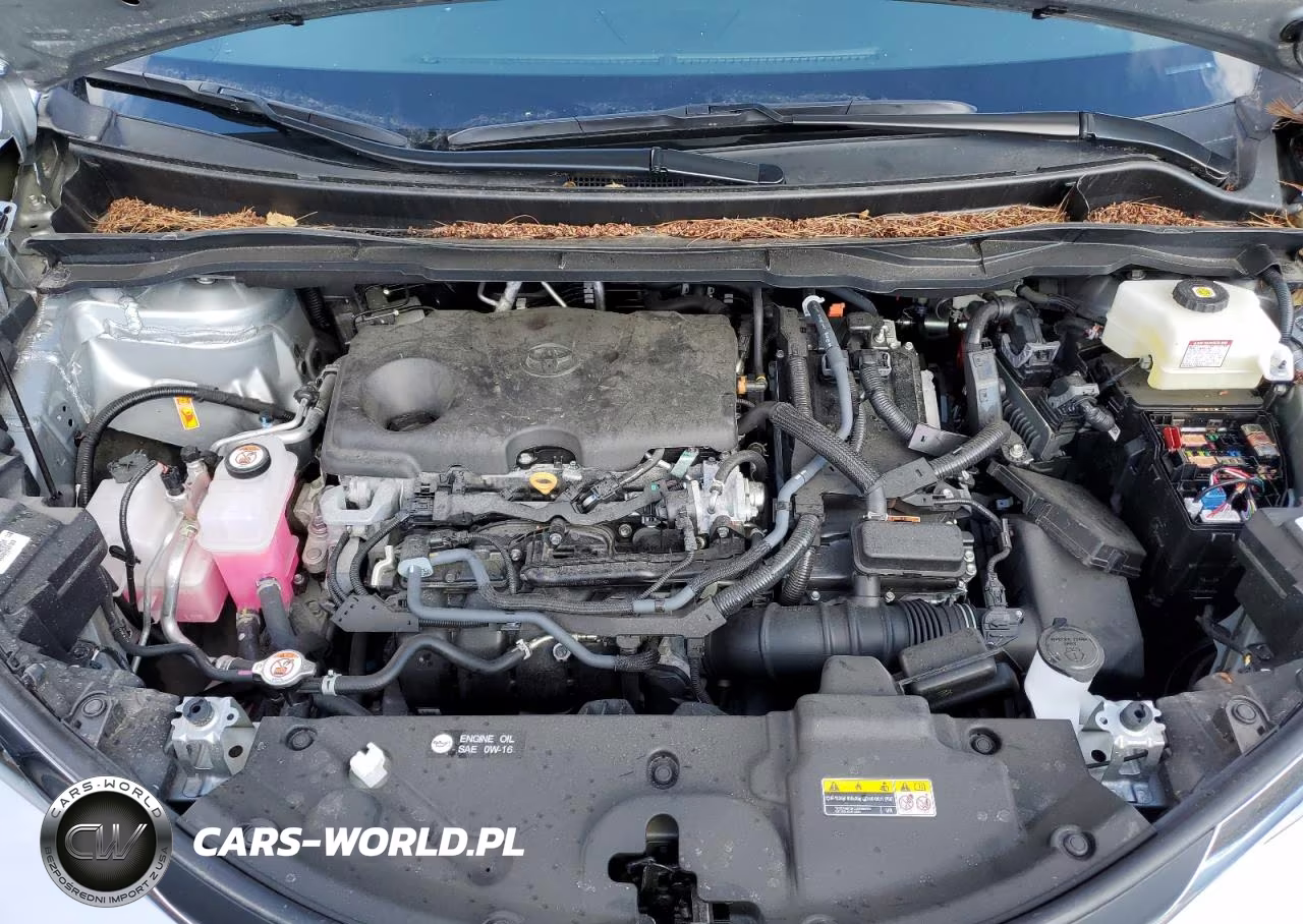 2025 Toyota Sienna Le VIN:5TDKRKEC3SS240317 - 12