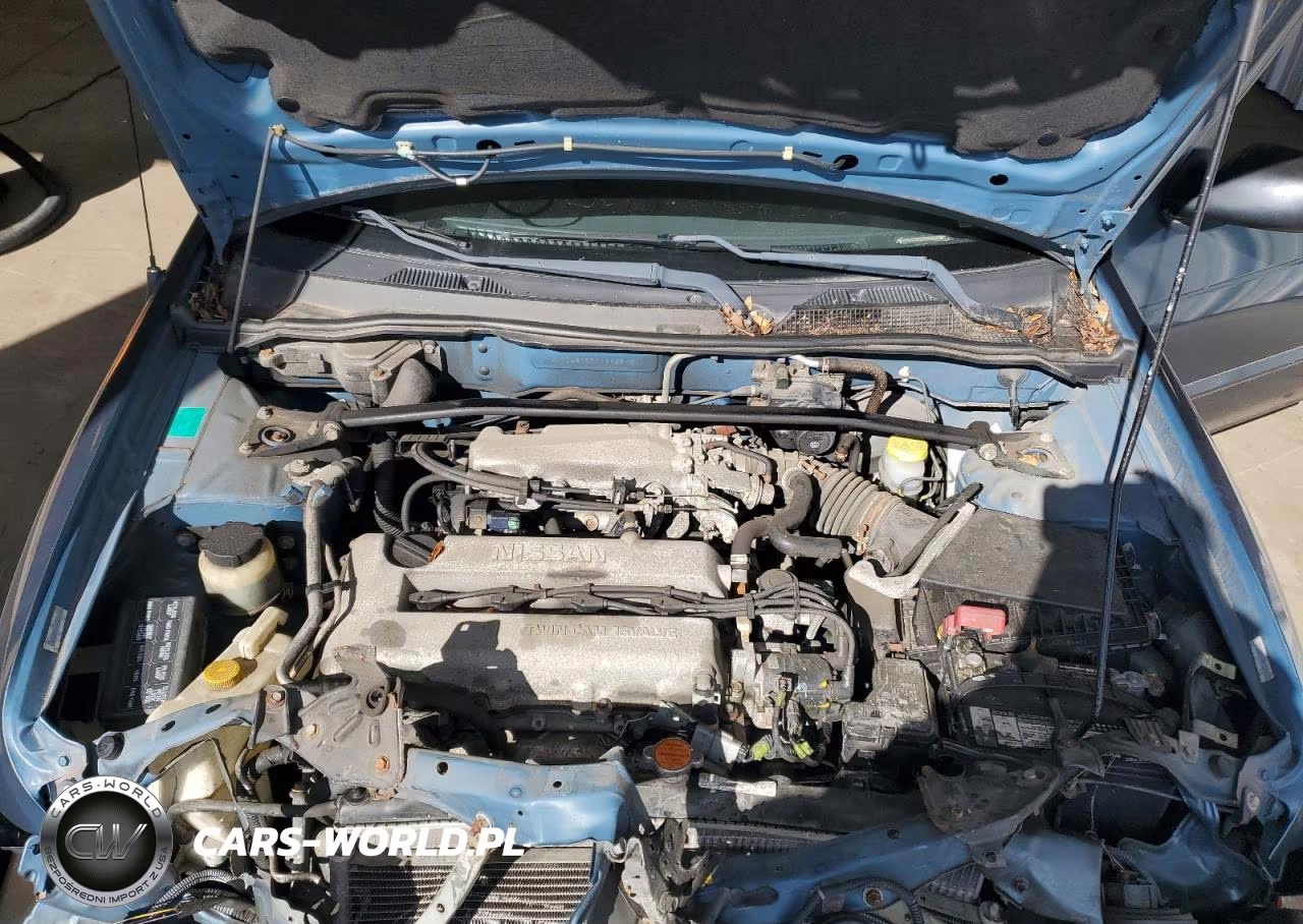 2001 Nissan Sentra Se VIN:3N1BB51D71L112870 - 11