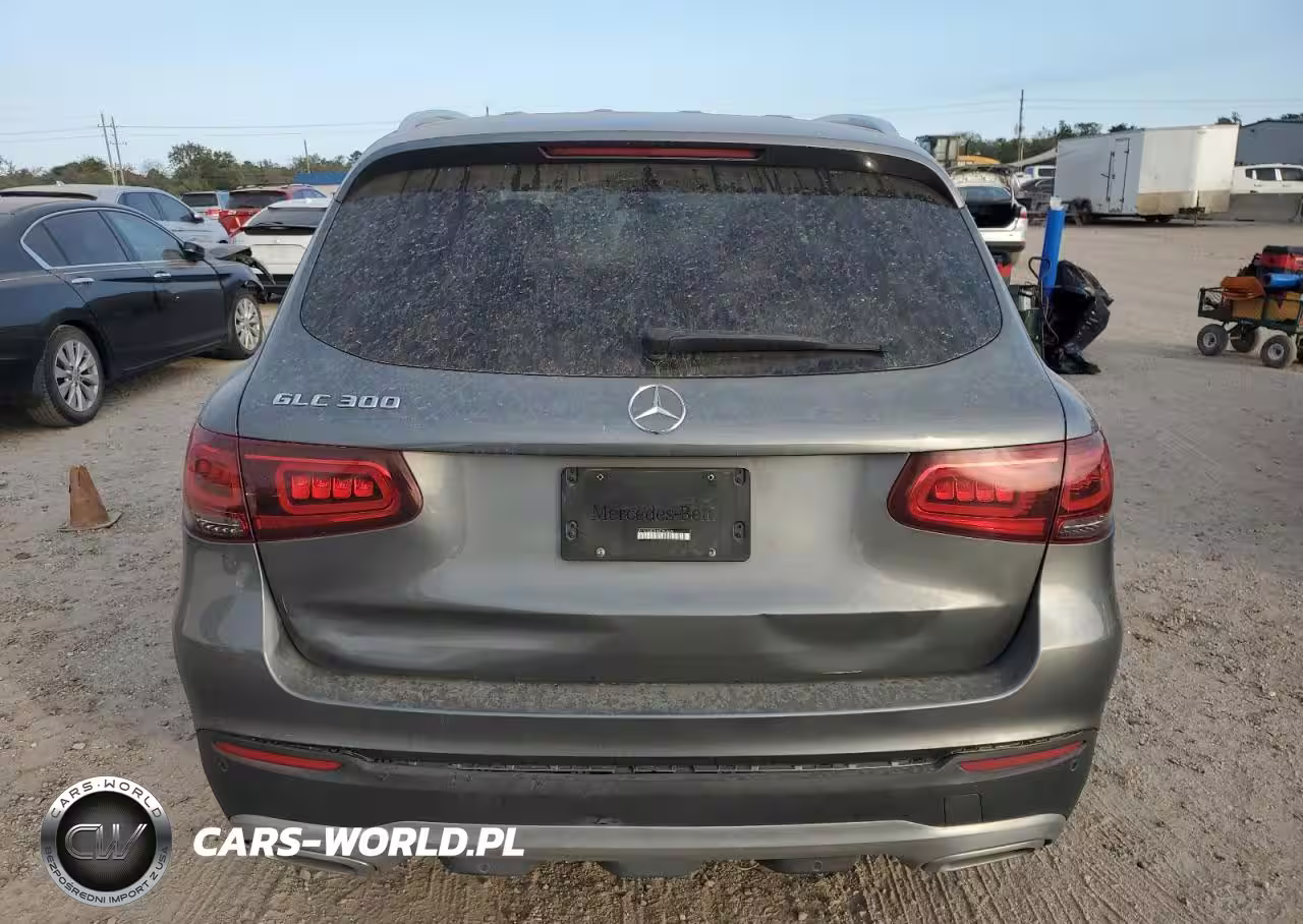 2021 Mercedes-Benz Glc 300 VIN:W1N0G8DB1MF900696 - 6