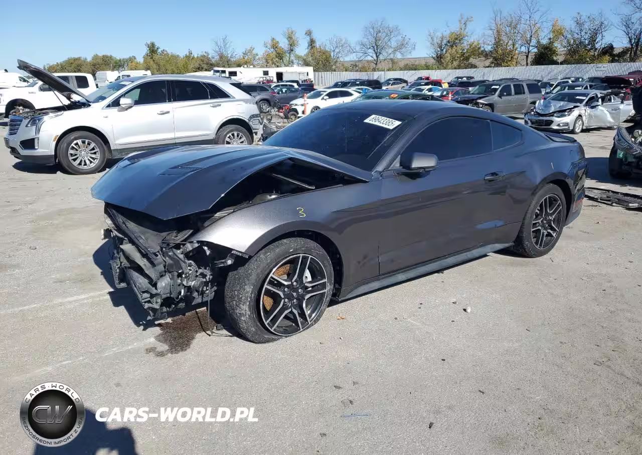 2019 Ford Mustang