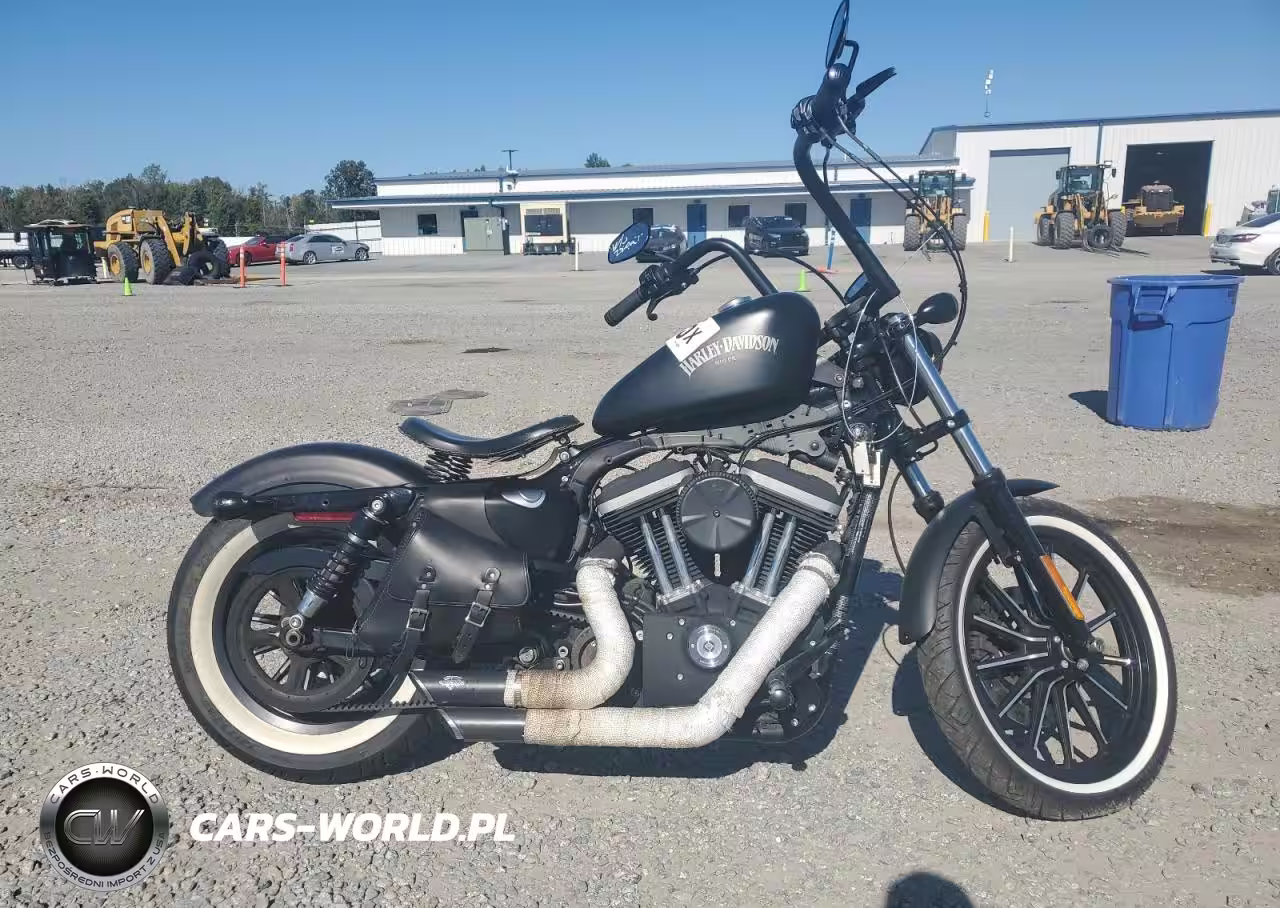 2013 Harley-Davidson Xl883 Iron 883