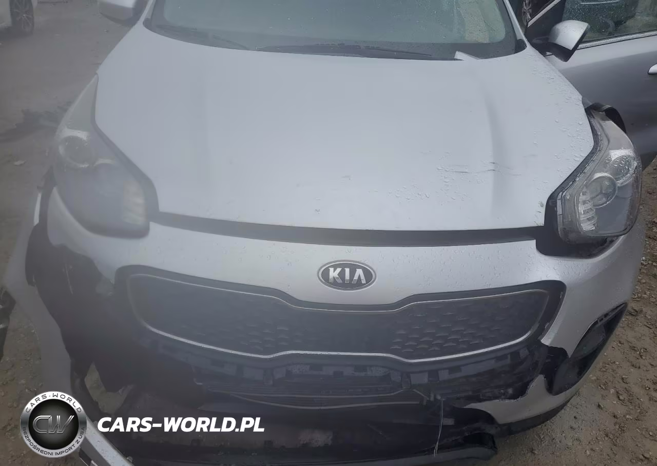 2018 Kia Sportage Lx VIN:KNDPM3AC3J7338594 - 12