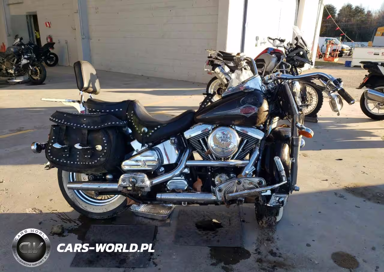 1999 Harley-Davidson Flstc