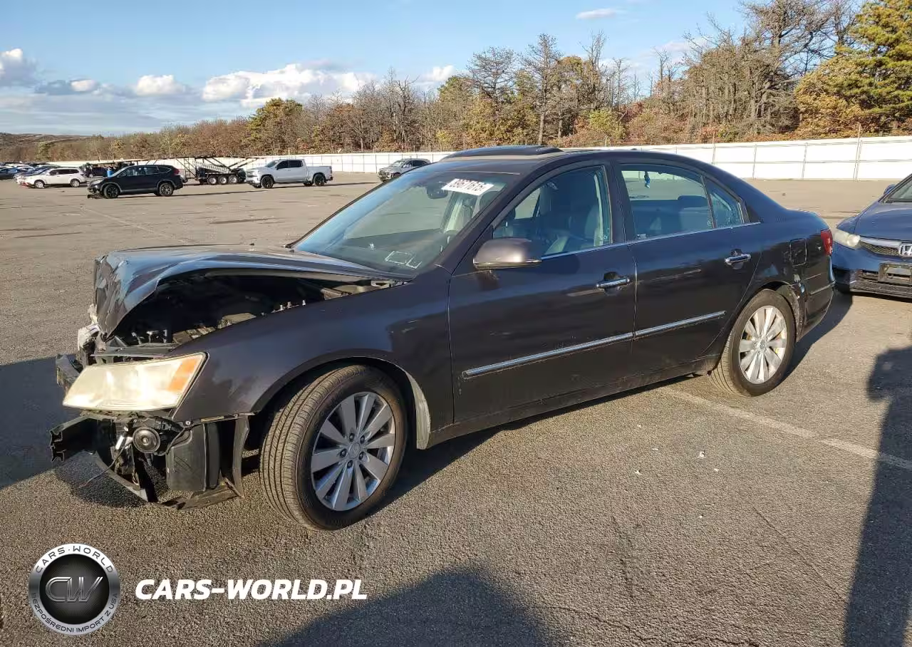 2010 Hyundai Sonata Se