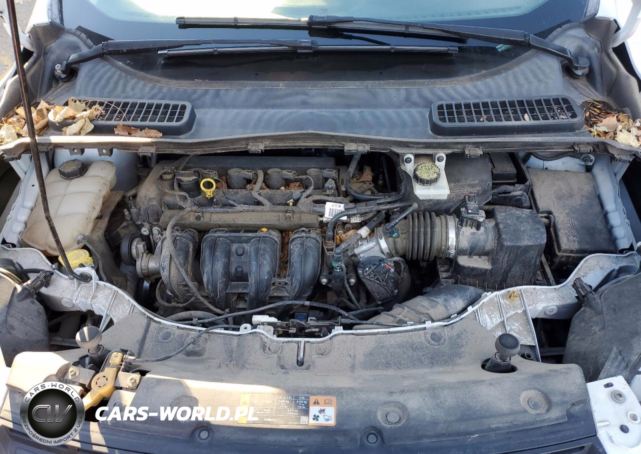 2014 Ford Escape VIN:1FMCU0F77EUD08736 - 12