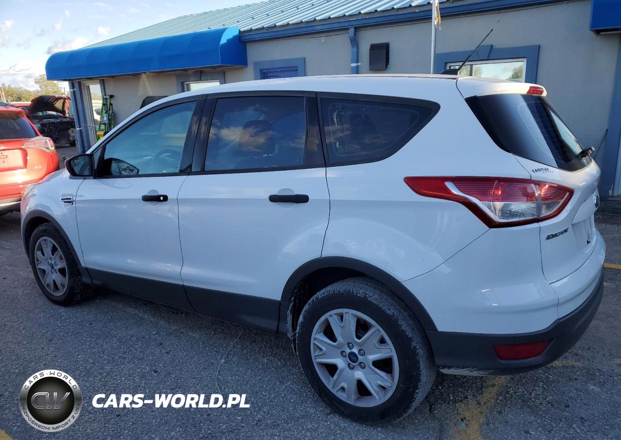 2014 Ford Escape VIN:1FMCU0F77EUD08736 - 2
