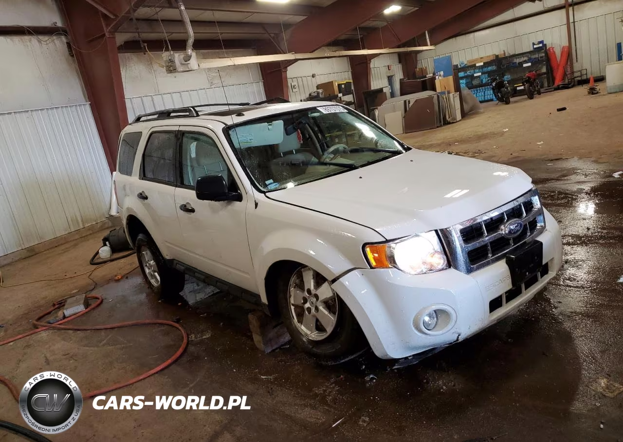 2010 Ford Escape Xlt VIN:1FMCU0DG2AKC65996 - 4