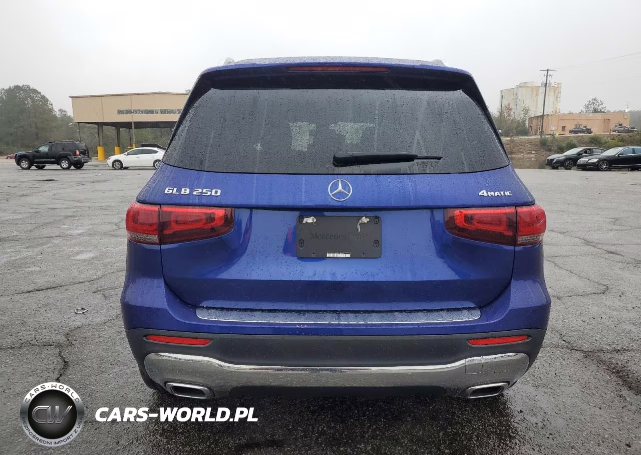 2021 Mercedes-Benz Glb 250 4Matic VIN:W1N4M4HB4MW118616 - 6