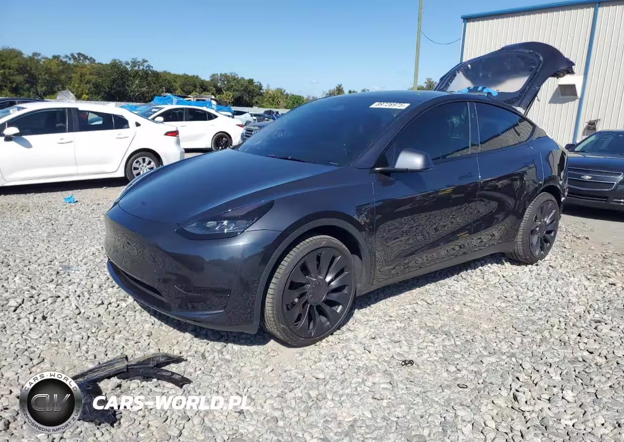 2024 Tesla Model Y