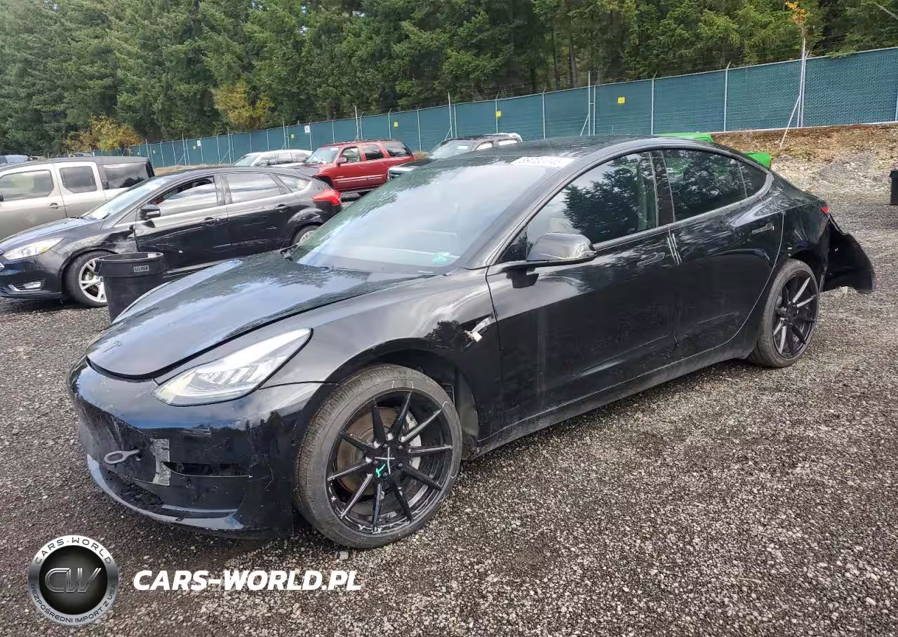 2019 Tesla Model 3
