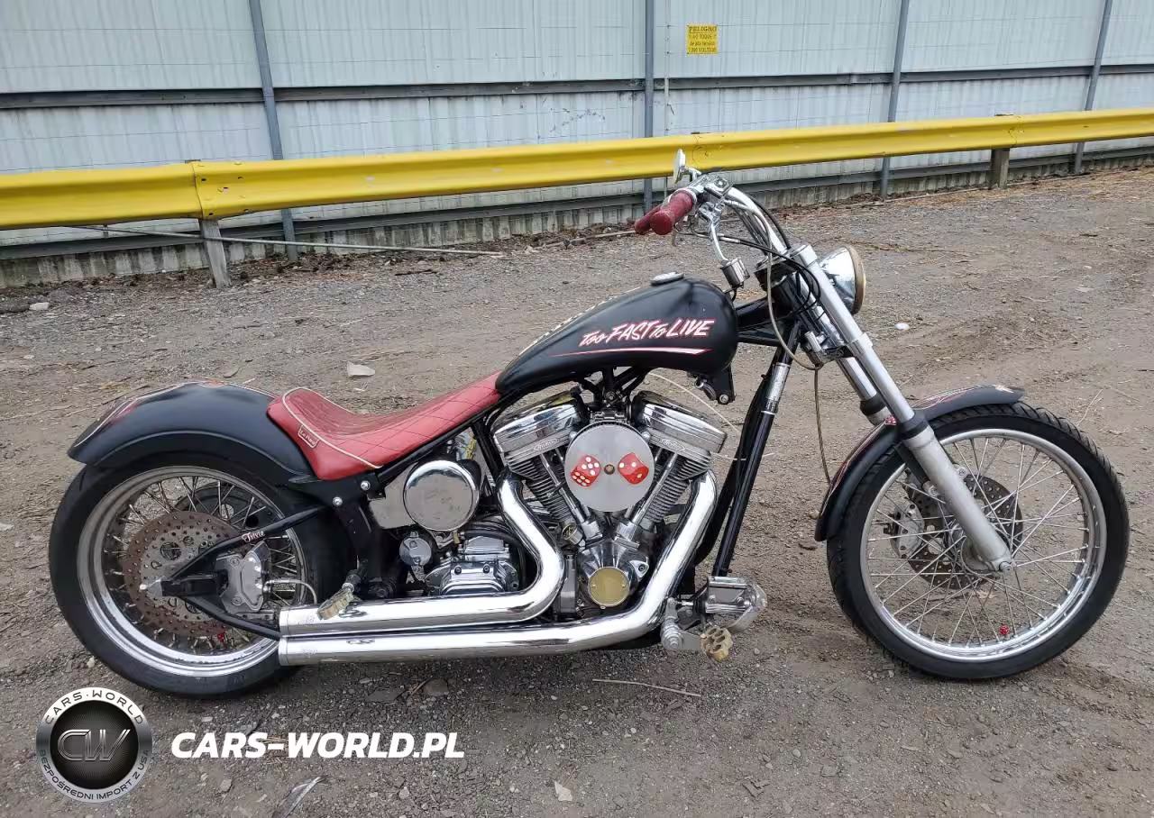 2004 Other Motorcycle Speed Demon