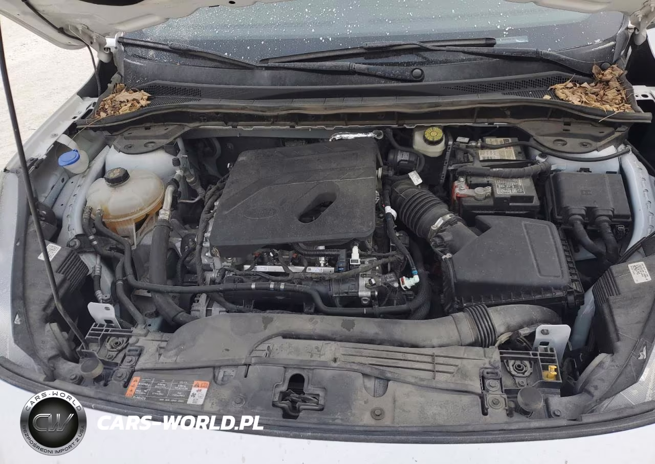 2020 Ford Escape Se VIN:1FMCU0G65LUB65594 - 12