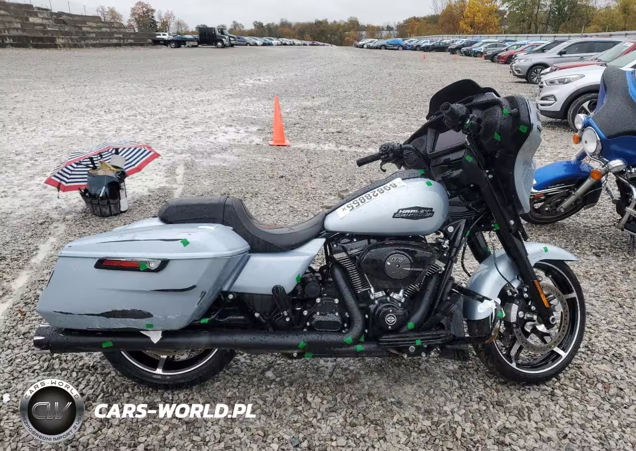 2024 Harley-Davidson Flhx