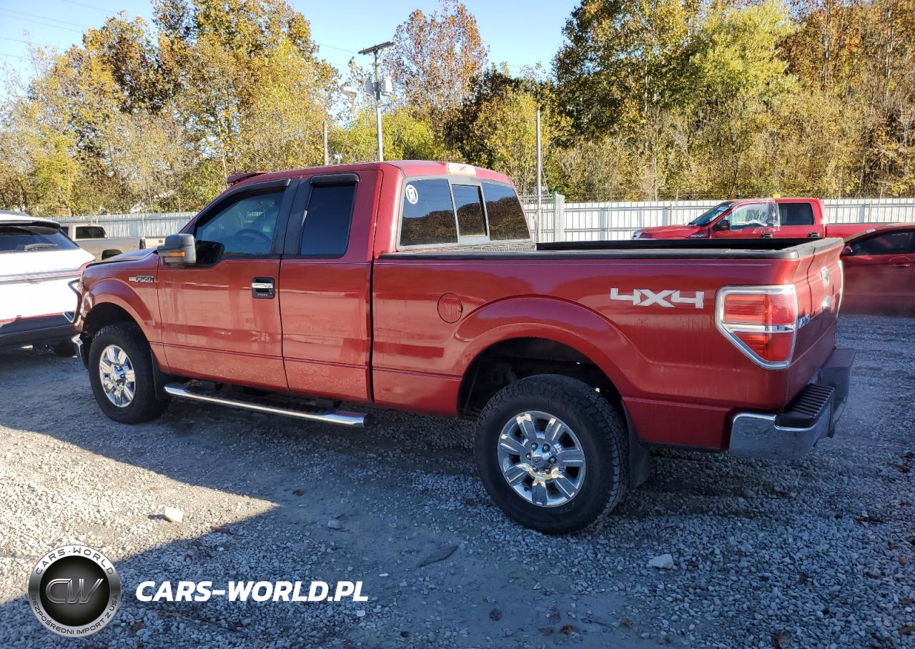 2010 Ford F150 Super Cab VIN:1FTFX1EV1AFB38824 - 2