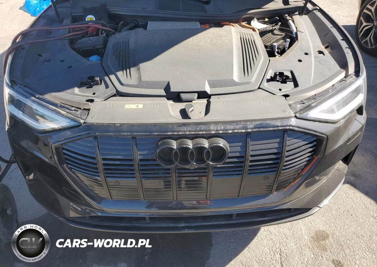 2021 Audi E-Tron Premium Plus VIN:WA1LABGE3MB019699 - 12