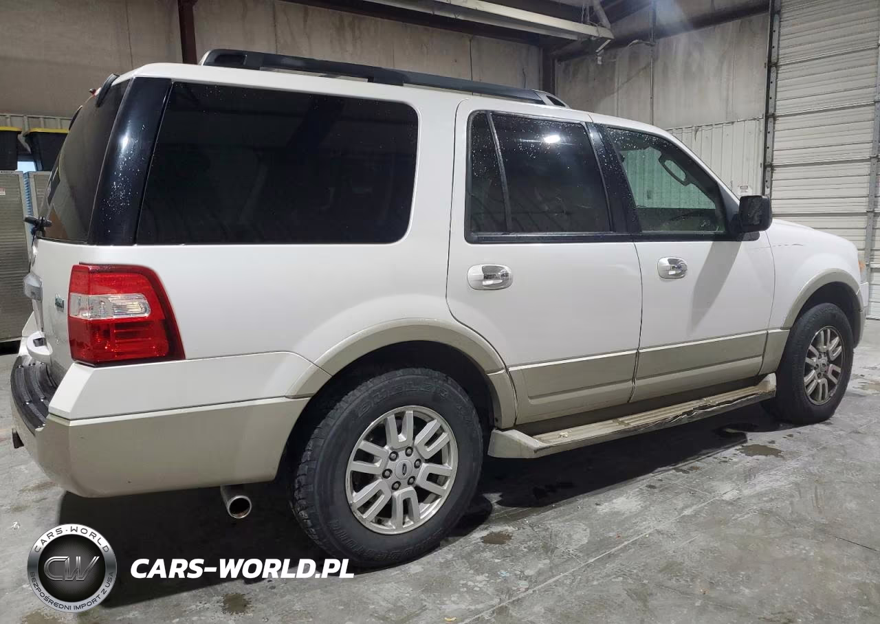 2010 Ford Expedition Eddie Bauer VIN:1FMJU1J54AEB71665 - 3