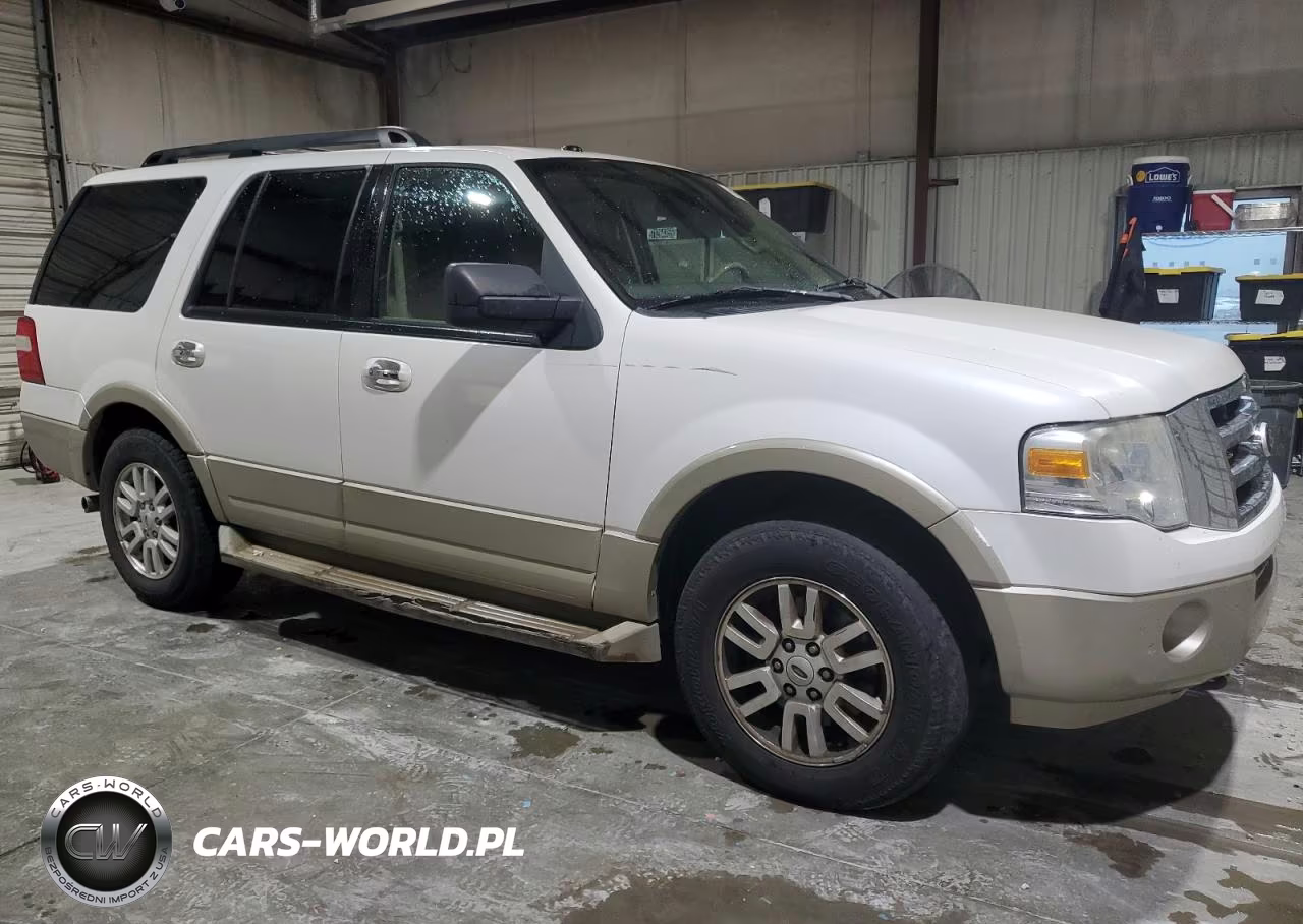 2010 Ford Expedition Eddie Bauer VIN:1FMJU1J54AEB71665 - 4