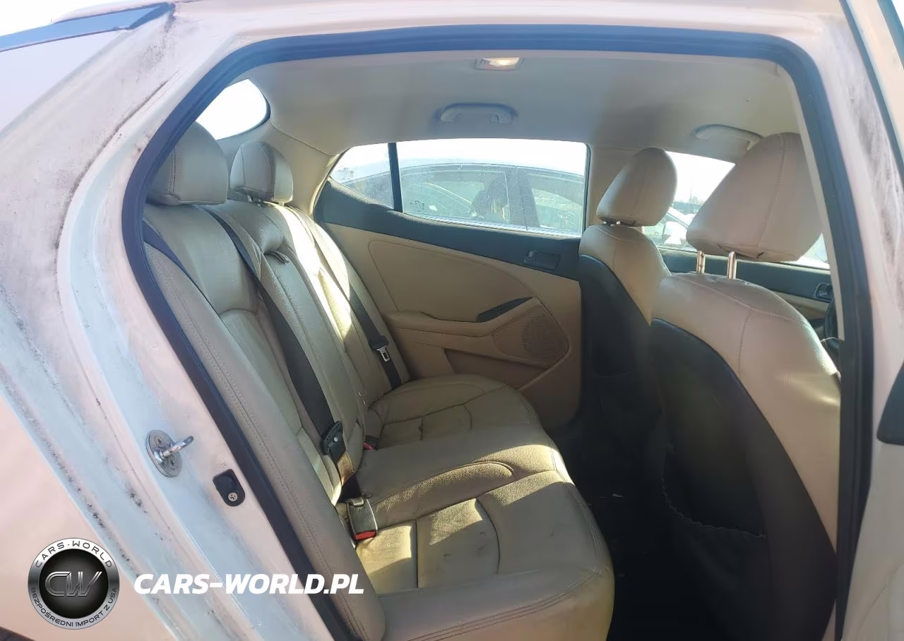 2014 Kia Optima Lx VIN:KNAGM4A73E5466020 - 10