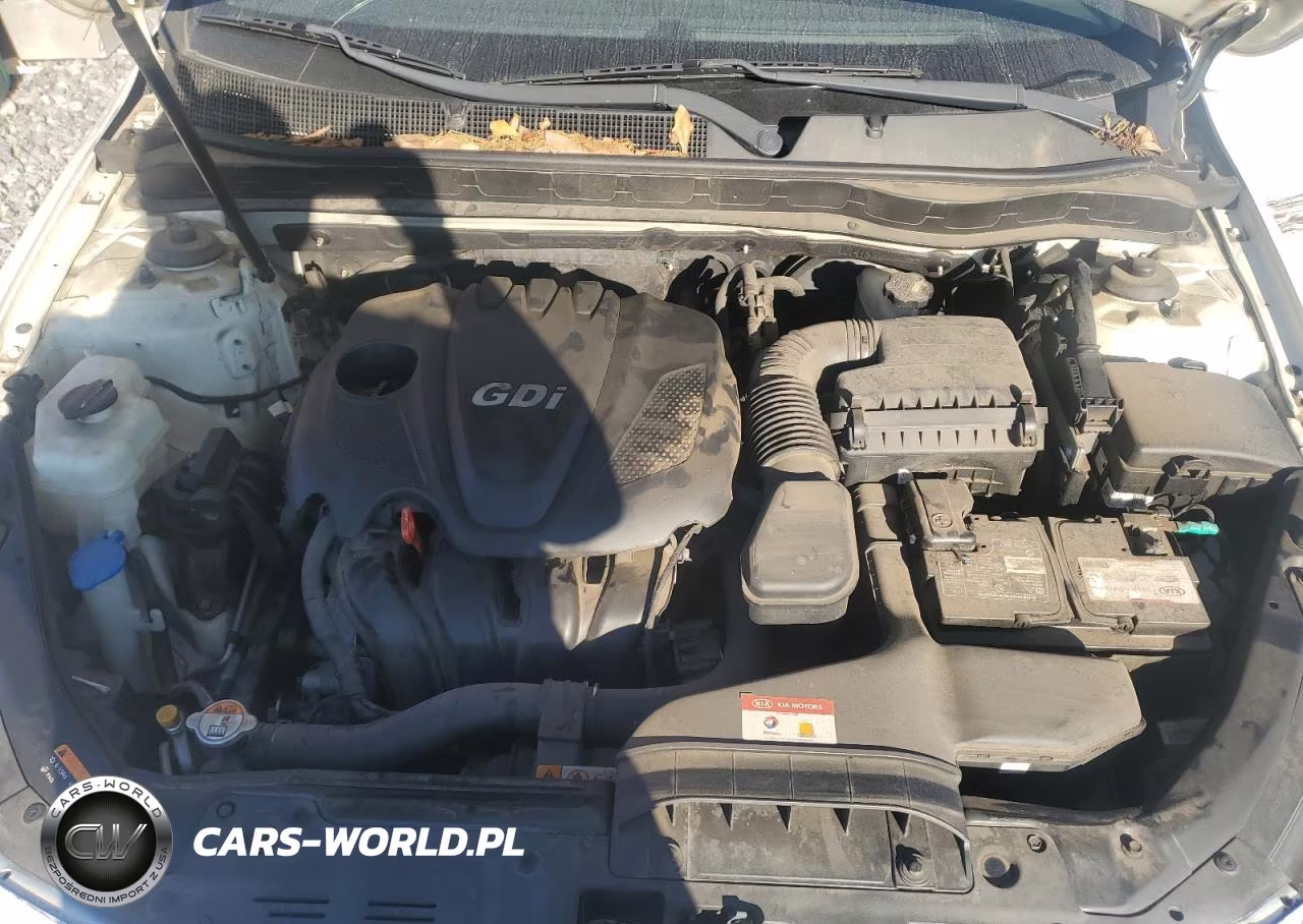 2014 Kia Optima Lx VIN:KNAGM4A73E5466020 - 11