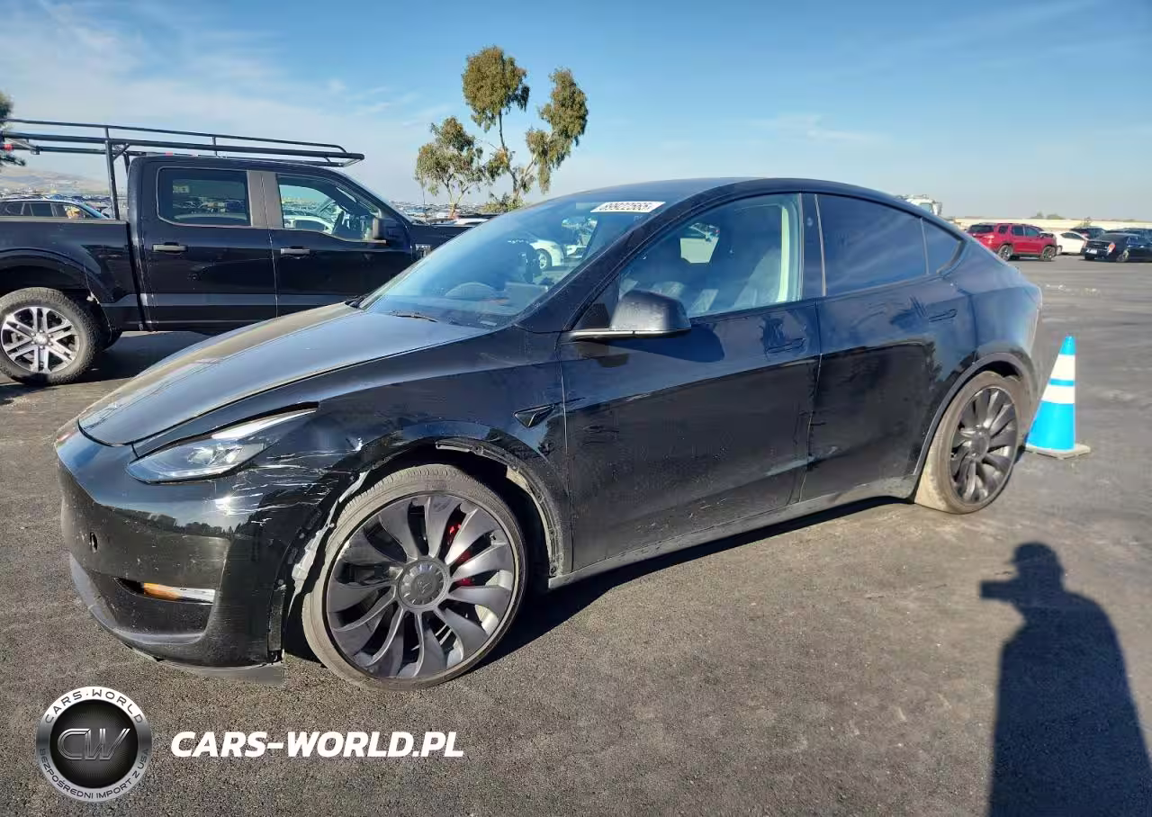 2024 Tesla Model Y