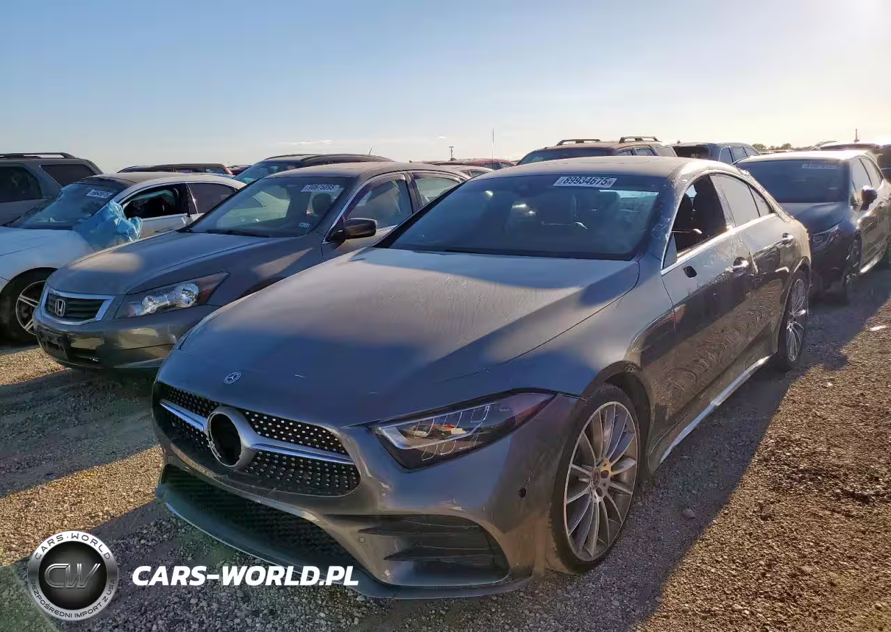 2019 Mercedes-Benz Cls 450