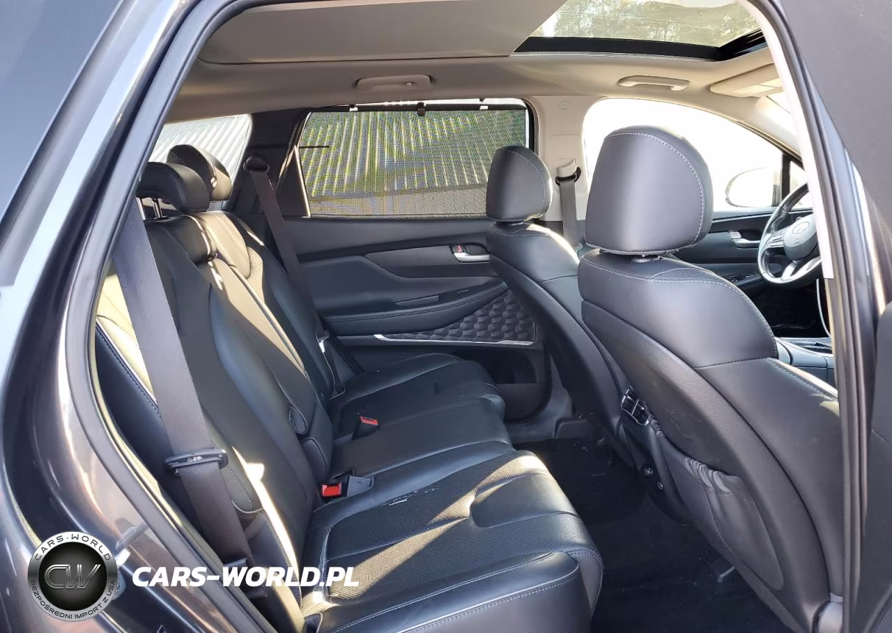 2021 Hyundai Santa Fe Sel VIN:5NMS3DAJ9MH326271 - 11