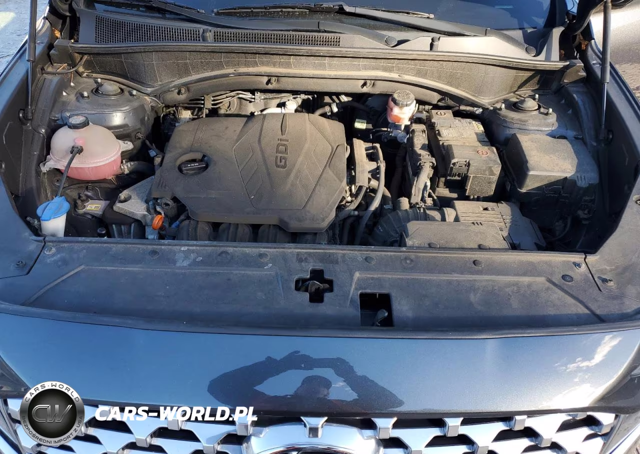 2021 Hyundai Santa Fe Sel VIN:5NMS3DAJ9MH326271 - 12