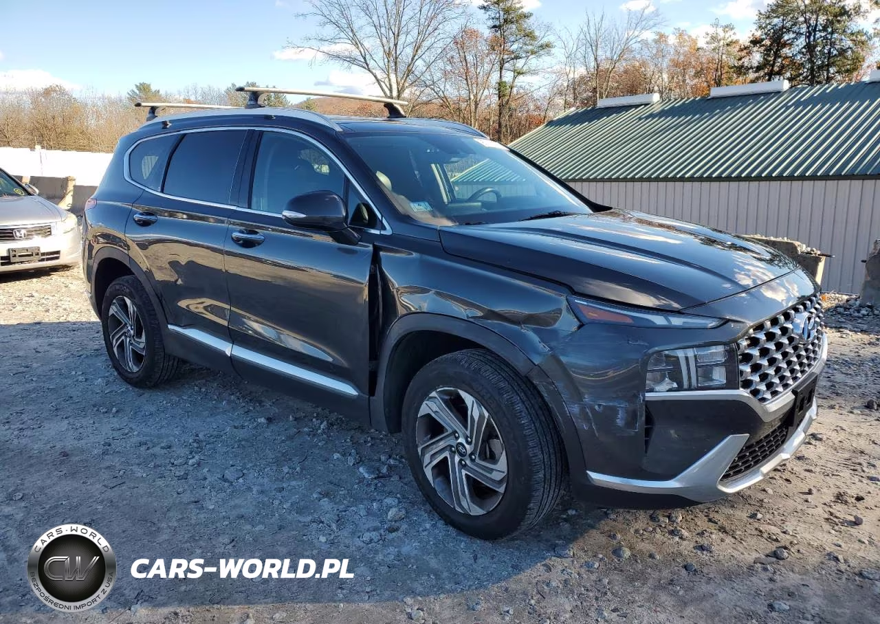 2021 Hyundai Santa Fe Sel VIN:5NMS3DAJ9MH326271 - 4