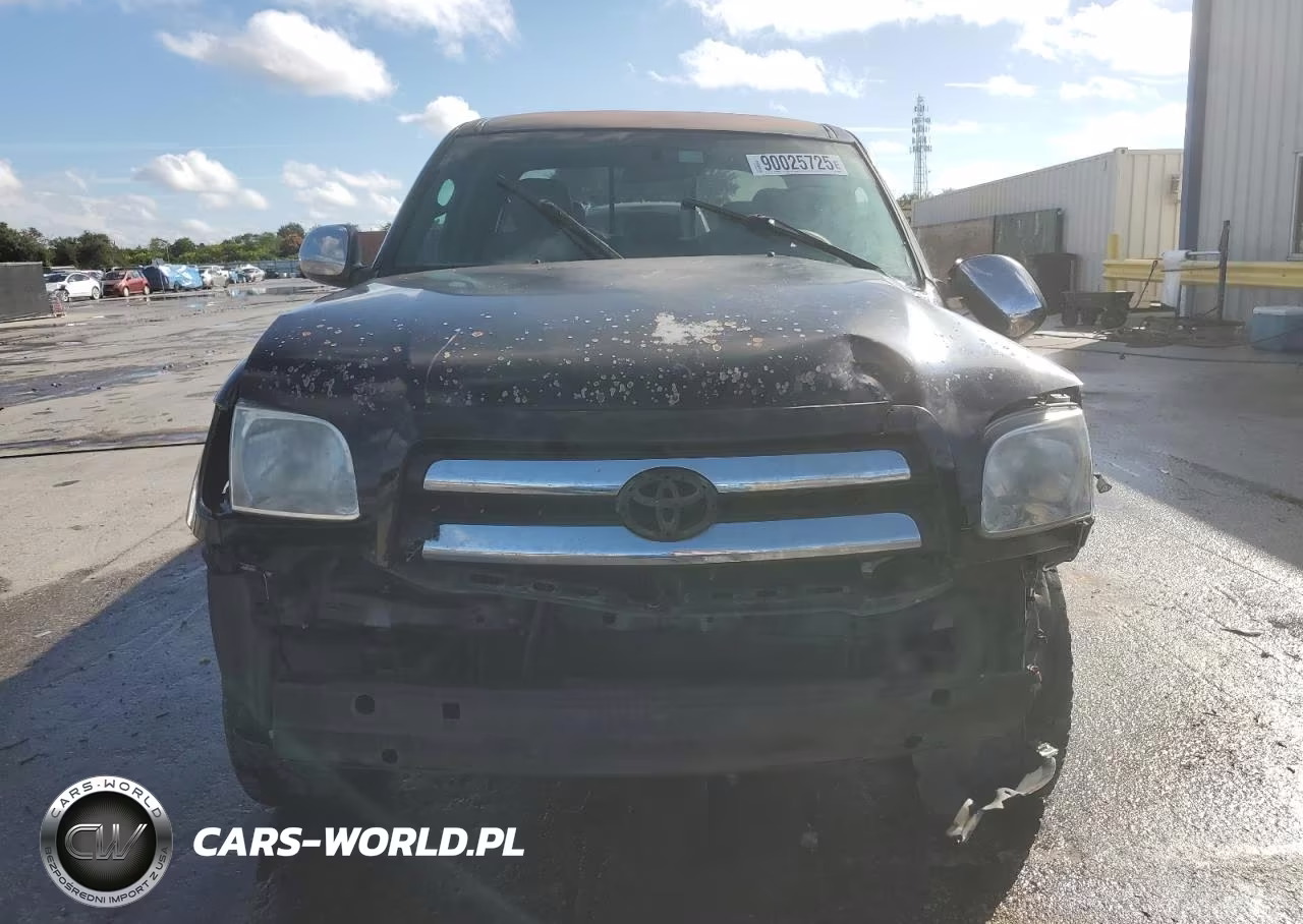 2006 Toyota Tundra Access Cab Sr5 VIN:5TBRU34196S463060 - 5