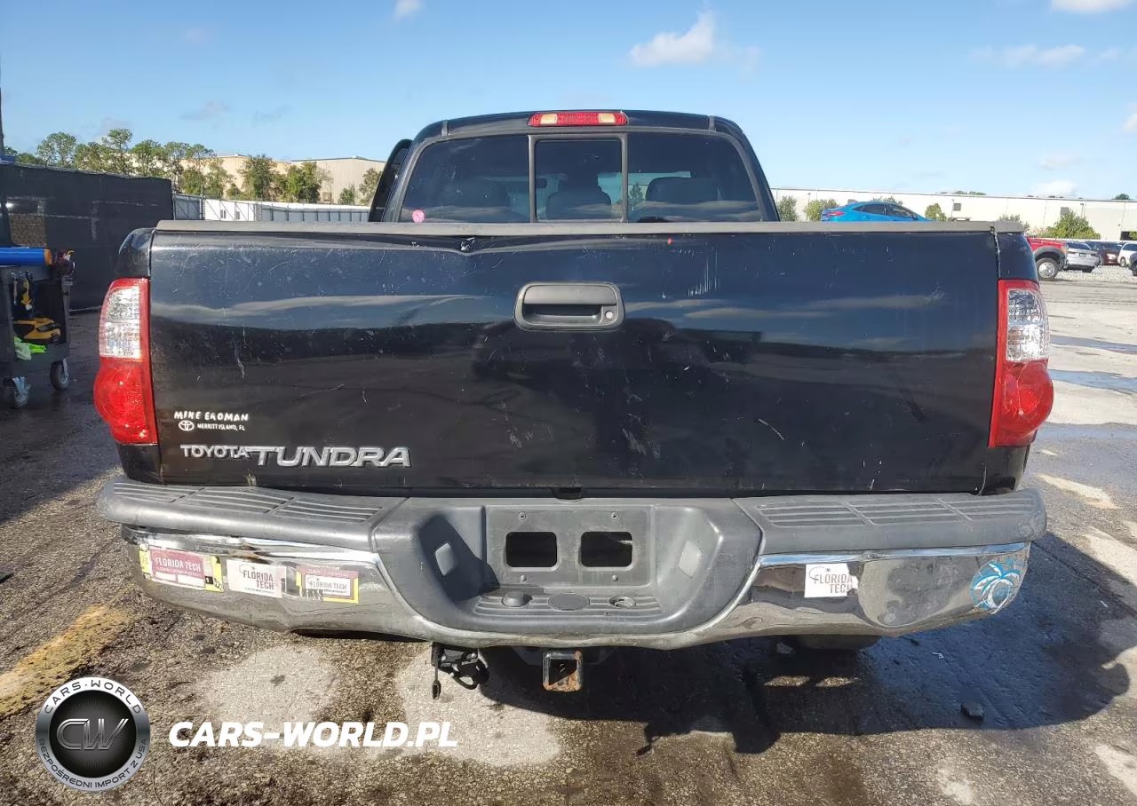 2006 Toyota Tundra Access Cab Sr5 VIN:5TBRU34196S463060 - 6