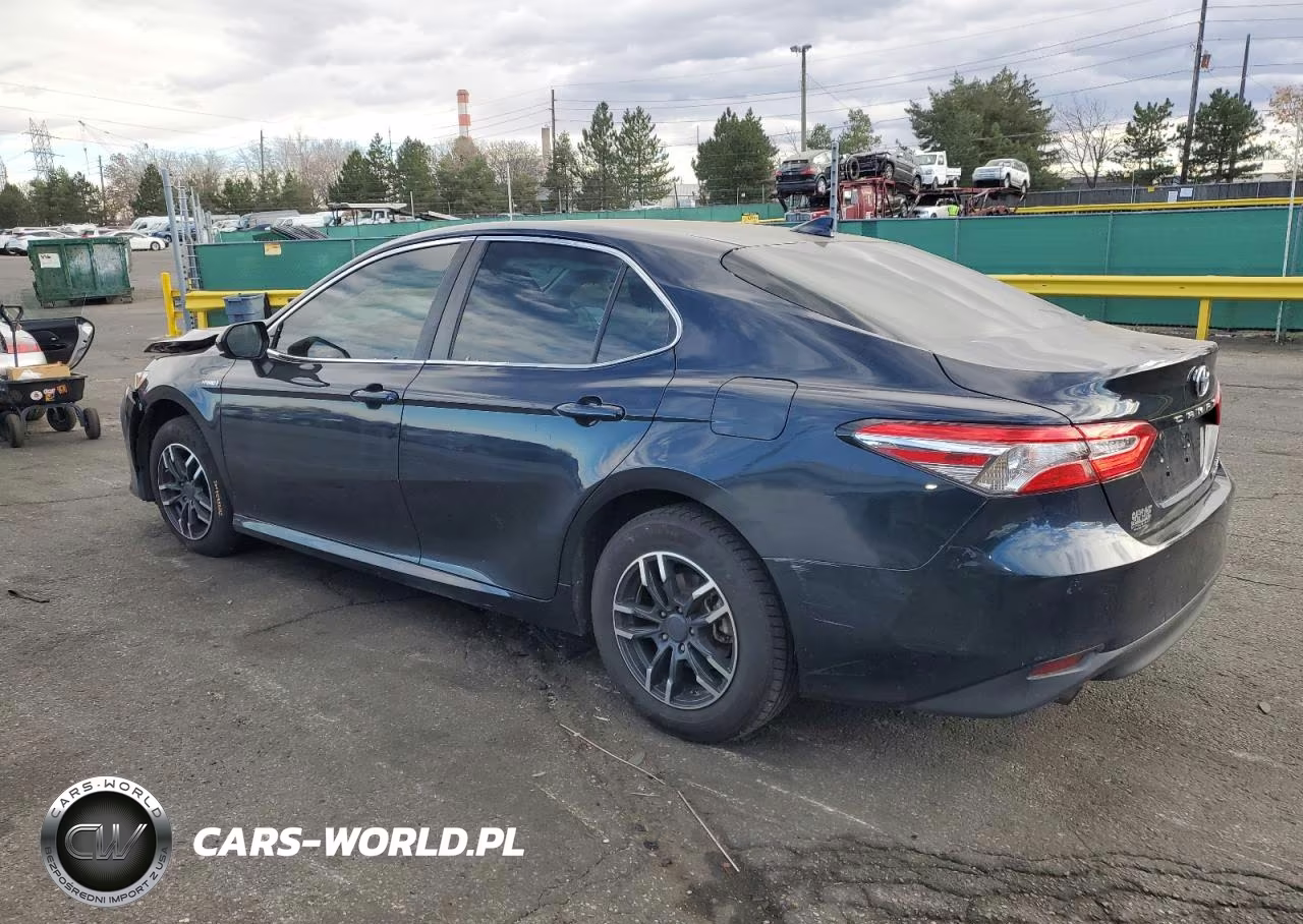 2019 Toyota Camry Le VIN:4T1B31HK1KU512529 - 2