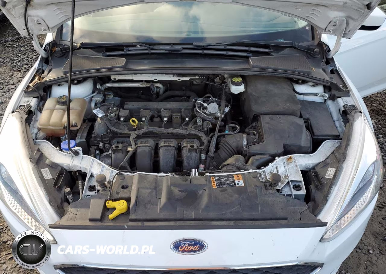 2018 Ford Focus Se VIN:1FADP3K29JL331548 - 11