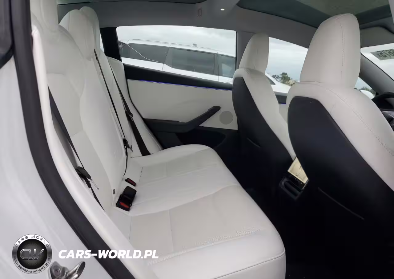 2024 Tesla Model 3 VIN:5YJ3E1EA2RF815384 - 10