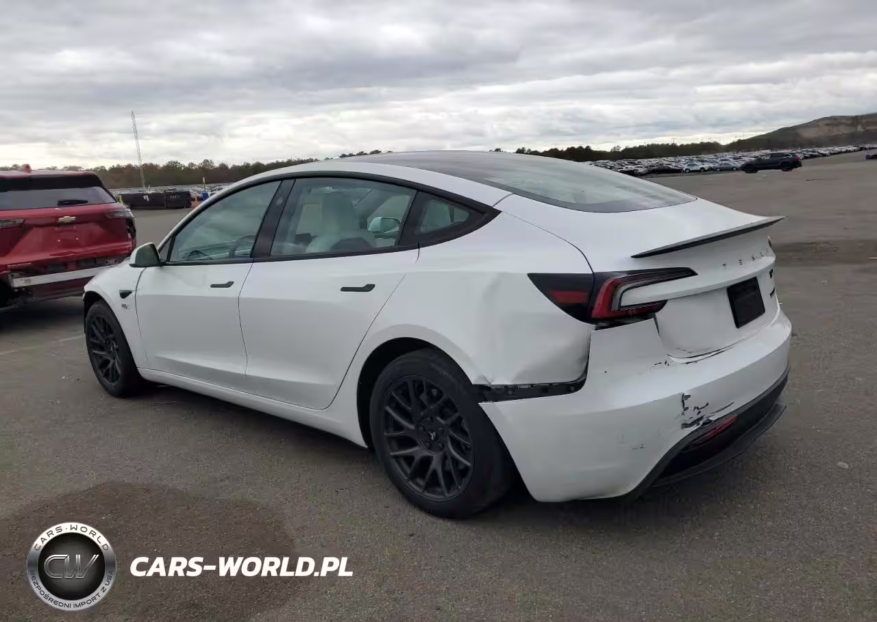 2024 Tesla Model 3 VIN:5YJ3E1EA2RF815384 - 2