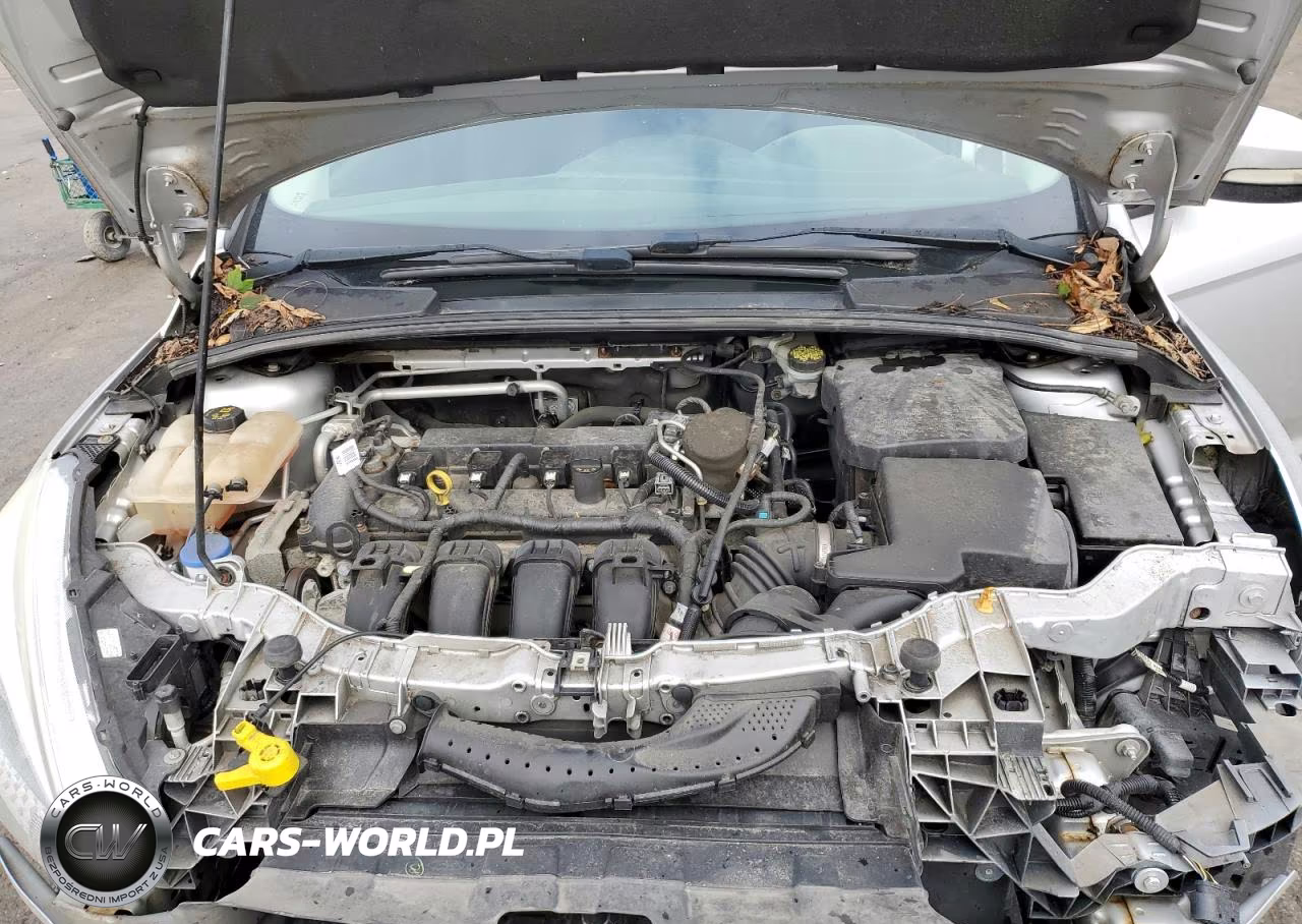 2016 Ford Focus Se VIN:1FADP3F29GL319564 - 11