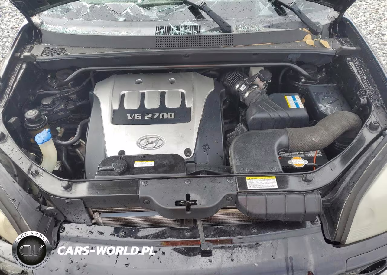 2006 Hyundai Tucson Gls-Limited VIN:KM8JN12D86U448981 - 12
