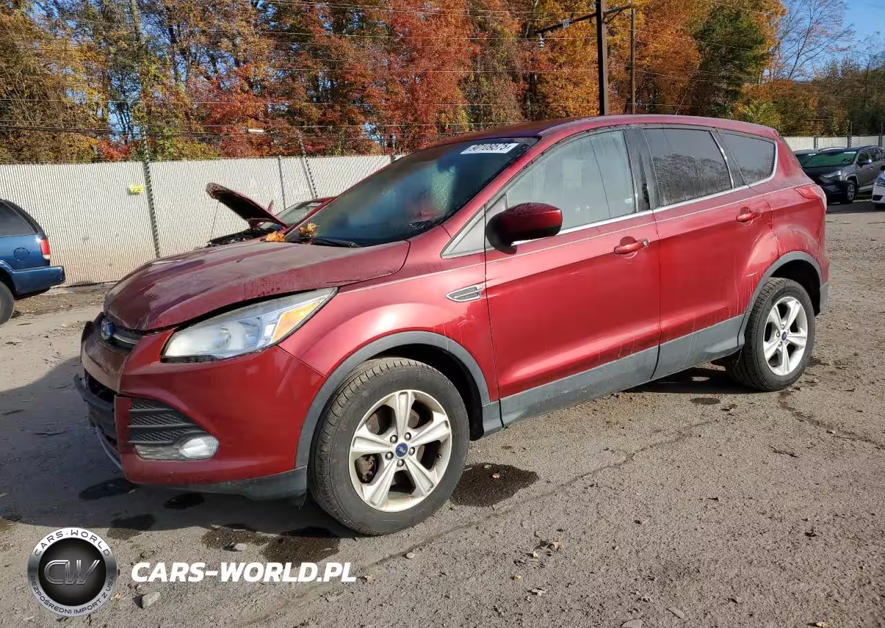 2014 FORD ESCAPE SE