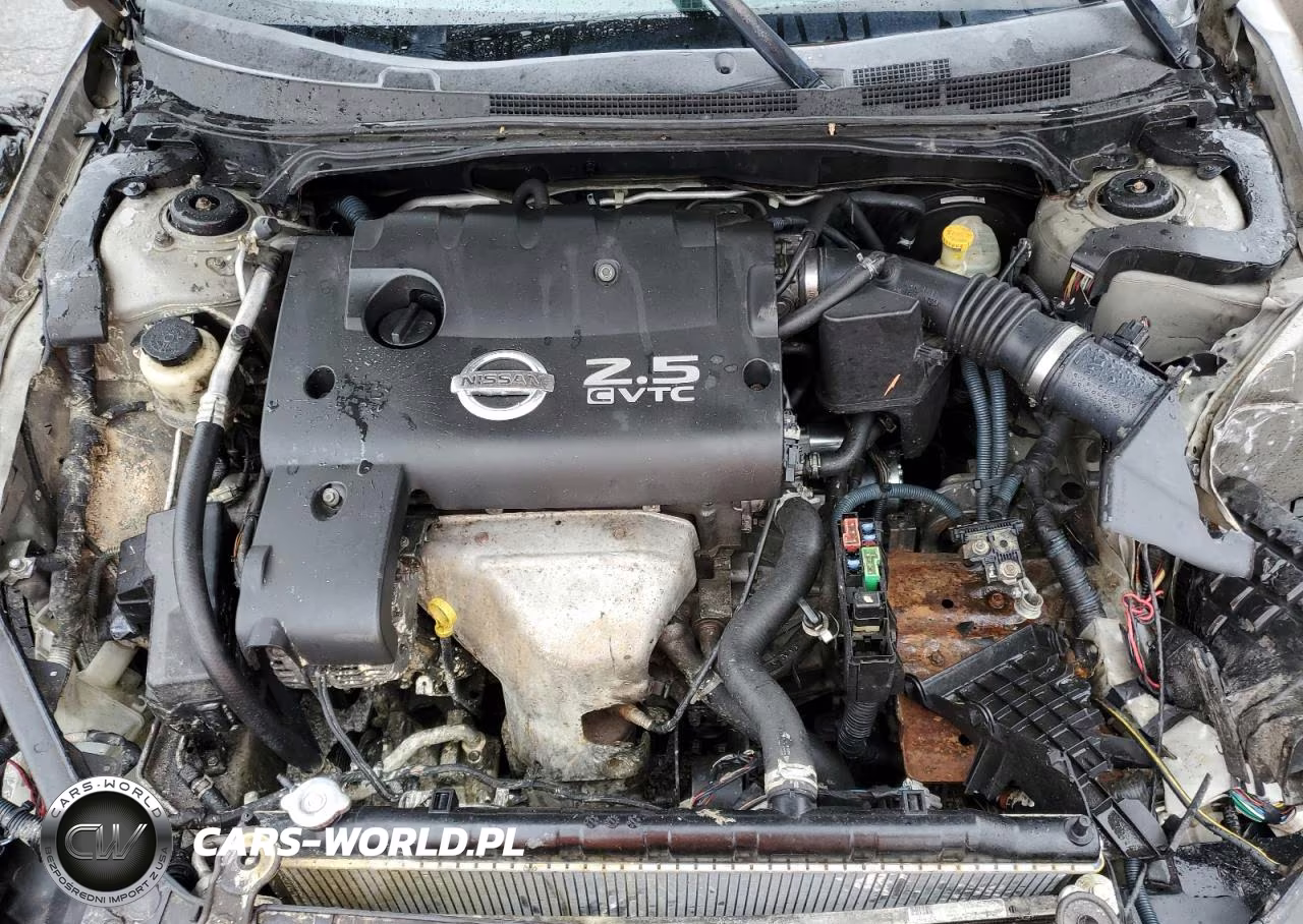 2006 Nissan Altima S VIN:1N4AL11E46N395734 - 11