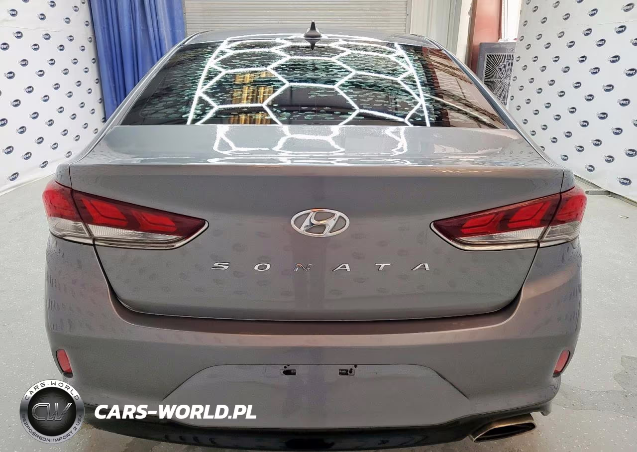 2019 Hyundai Sonata Limited VIN:5NPE34AF0KH740760 - 6