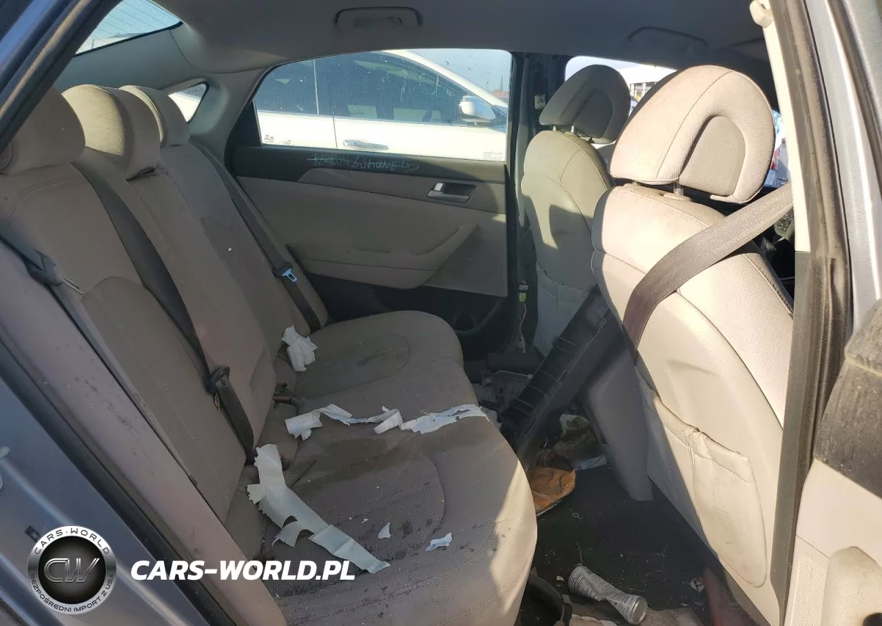 2016 Hyundai Sonata Base VIN:5NPE24AF9GH395366 - 10