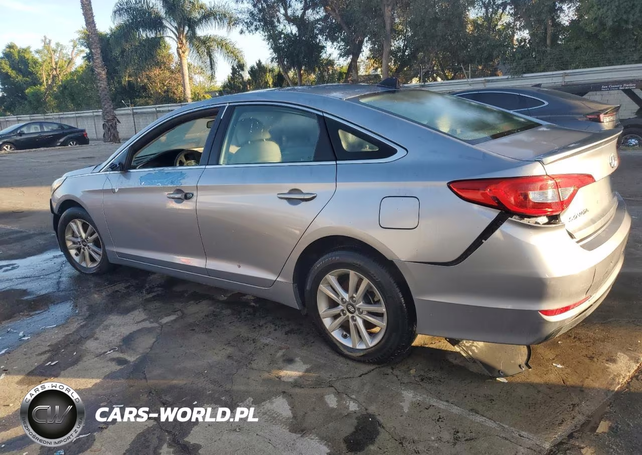 2016 Hyundai Sonata Base VIN:5NPE24AF9GH395366 - 2