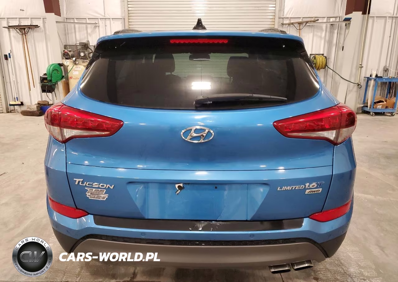 2016 Hyundai Tucson Limited VIN:KM8J3CA2XGU130086 - 6