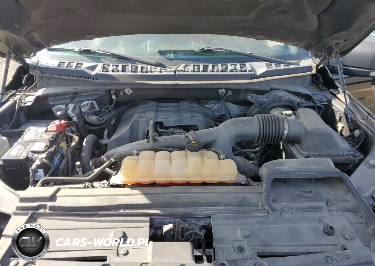 2018 Ford F150 Supercrew VIN:1FTEW1EP6JFE09313 - 11